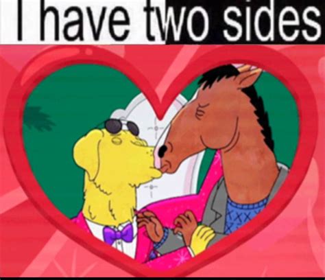 bojack horseman r34